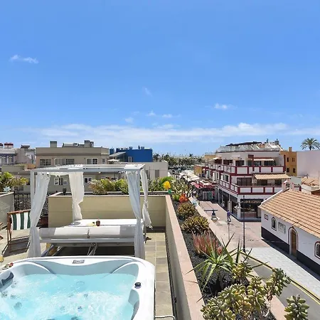 Luxury Penthouse Mogan Vii 公寓